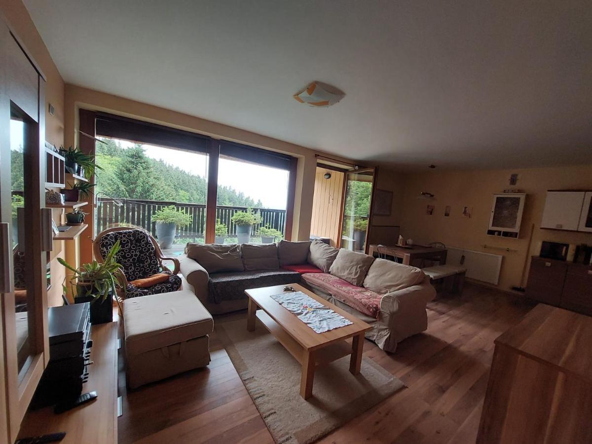 רוקיטניצה נאד איז'רו Panorama Apartman Svadlenka מראה חיצוני תמונה